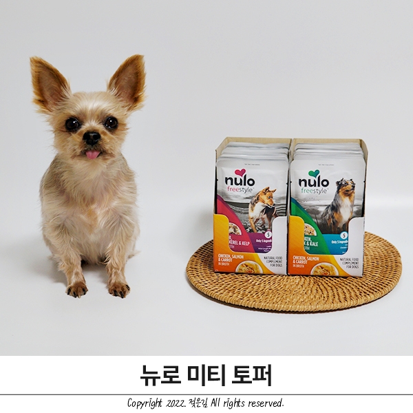 신개념사료 뉴로 미티 토퍼 그레인프리 사료라 더욱 좋아요 신개념사료 뉴로 미티 토퍼 그레인프리 사료라 더욱 좋아요