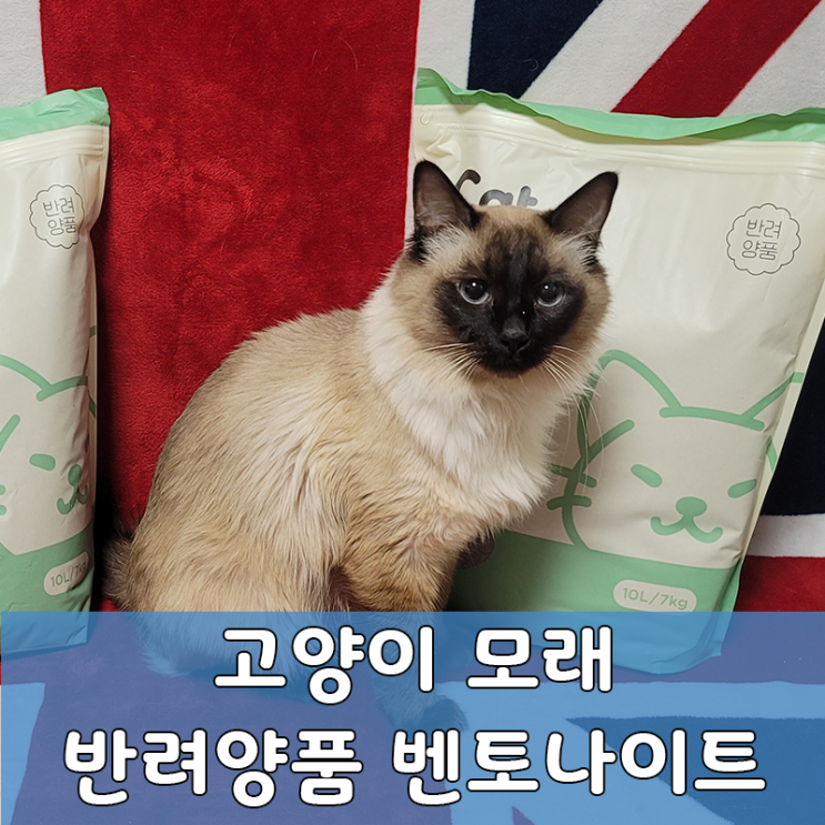  반려양품 벤토나이트 고양이모래 후기!