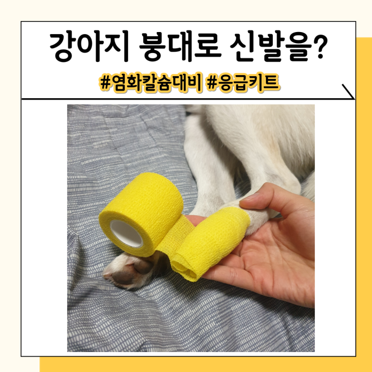 강아지 붕대 신발 눈 올 때도 다쳤을 때도 유용해요 강아지 붕대 신발 눈 올 때도 다쳤을 때도 유용해요