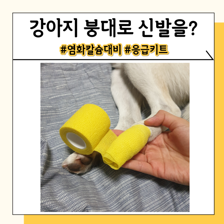 강아지 붕대 신발 눈 올 때도 다쳤을 때도 유용해요