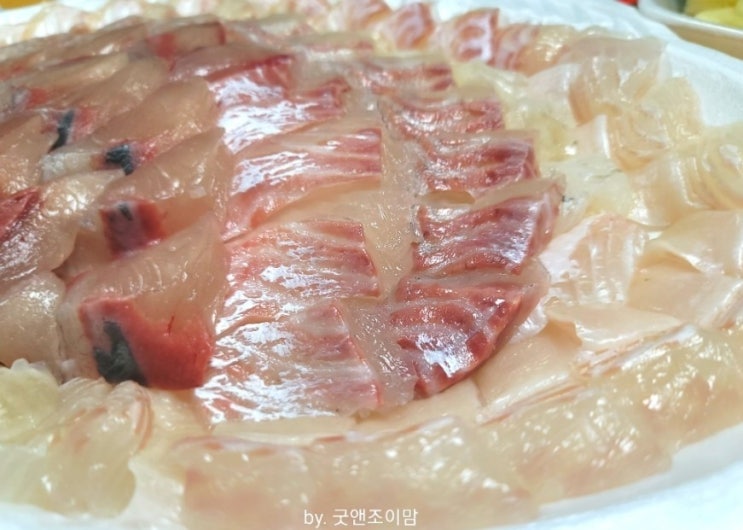 (강릉중앙시장 지하회센터) 신케지메해서 회가 쫄깃한 37호 별주부횟집 회 많이 주는 집 (강릉중앙시장 지하회센터) 신케지메해서 회가 쫄깃한 37호 별주부횟집 회 많이 주는 집