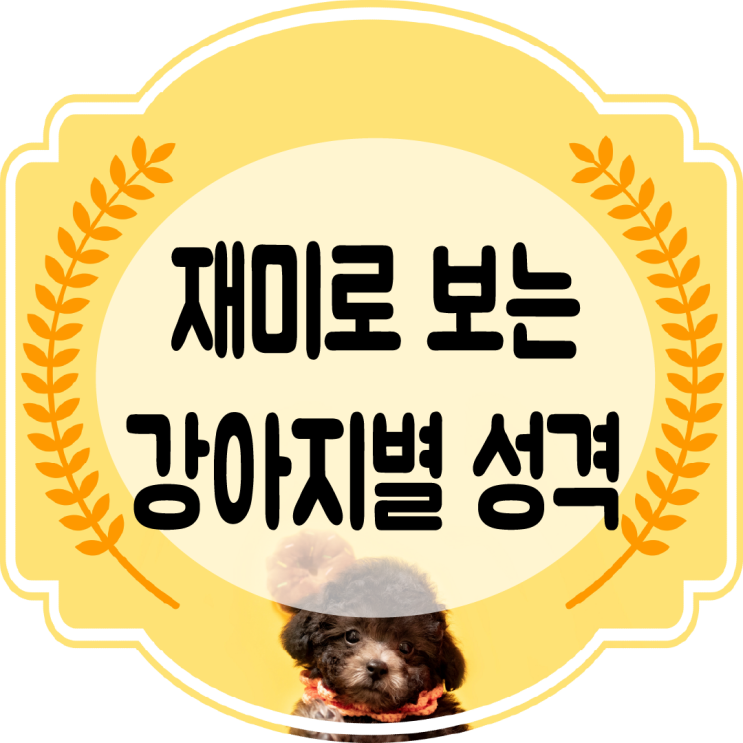  재밋는 견종별 강아지 성격을 알아보자~!!