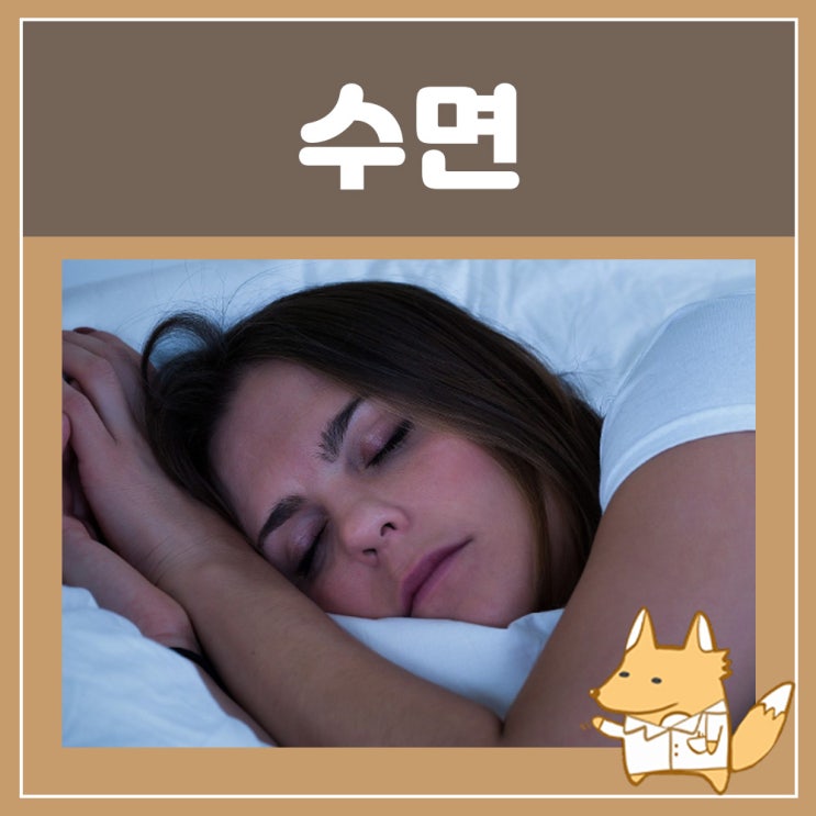  불면증 극복 하는법, 약 아론정 서카딘 잠오는약 잠 안올때 잘오는법 멜라토닌 복용법