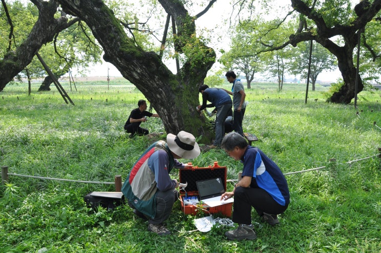 산림보호법 개정안 국회 본회의 통과(나무병원, 영업정지 대신 과징금 부과 제도 마련)