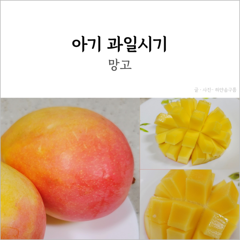 아기 망고 언제부터 먹는 시기, 무지개망고 먹여본 후기!