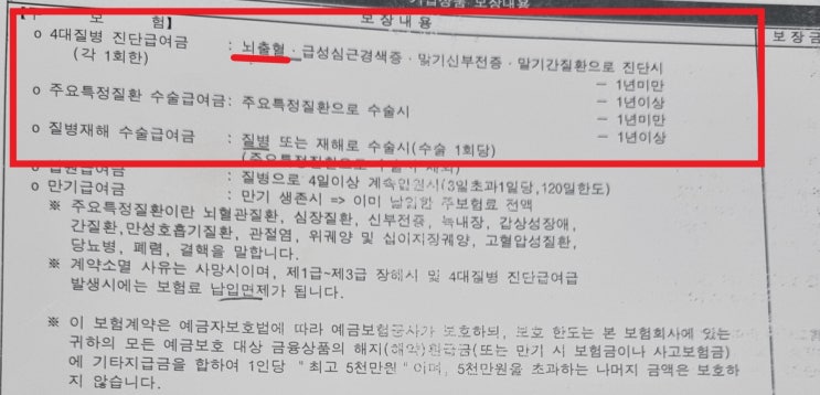  경미한 경동맥협착(165.2 )중뇌동맥협착(166.0) 뇌혈관질환 보험금 청구 후기 1
