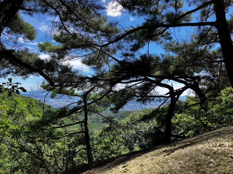  도봉산 등반교육 (슬랩)