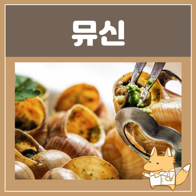  뮤신 효능 부작용 : 달팽이 달팽이즙 효능