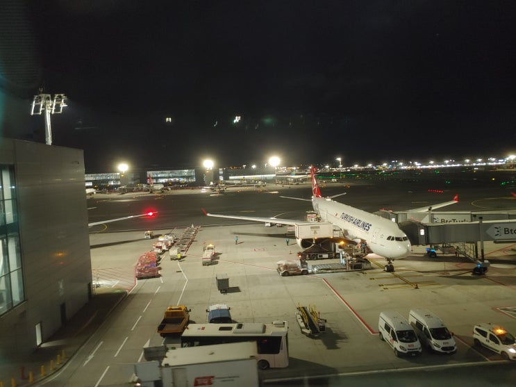 그리스, 튀르키예(터키) 패키지여행 : 2일차 (터키항공을 타고 이스탄불 도착)