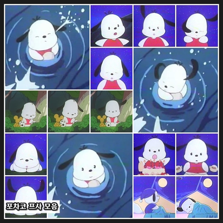  귀여운 포차코 프사