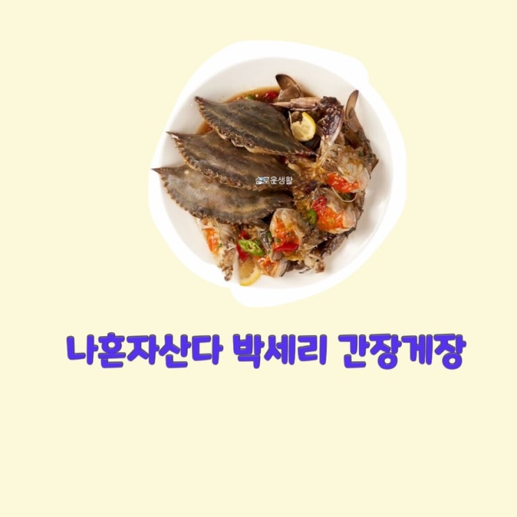  박세리 나혼자산다473회 간장게장
