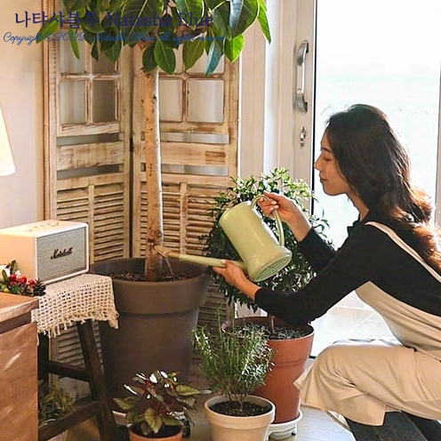  나타샤블루 살림 브이로그 MZ세대 주부의 살림꿀팁 BEST 5