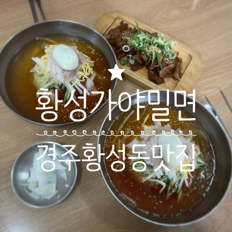 경주황성동맛집 _ 황성가야밀면