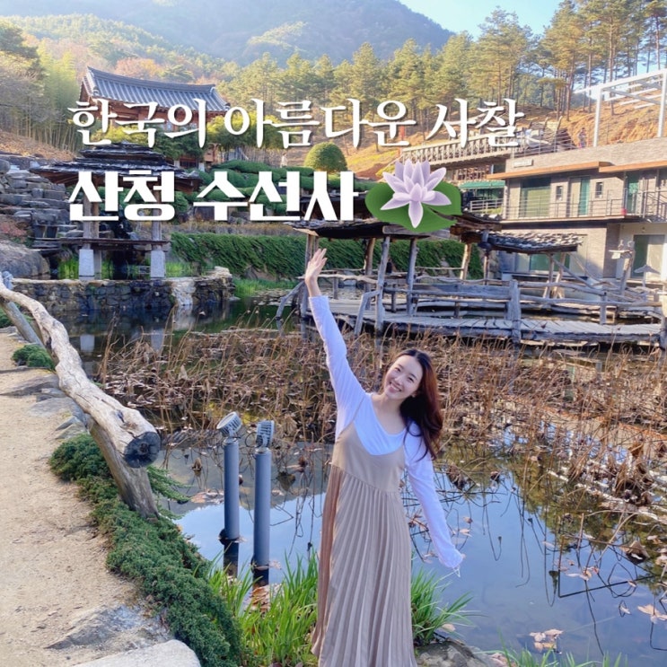  산청 수선사 겨울에 가도 아름다운 연꽃 성지