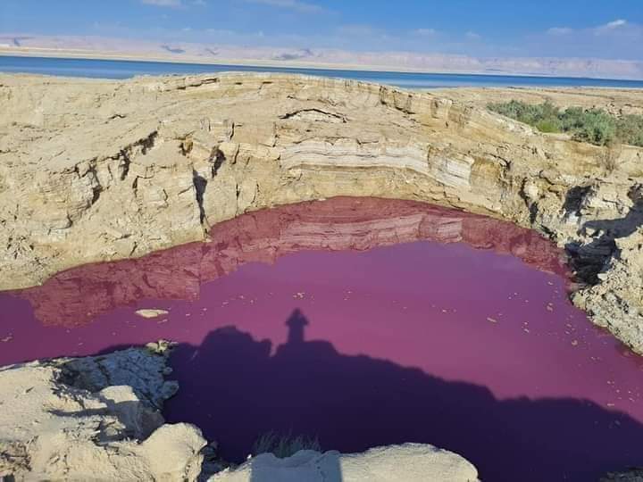 피로 물들어가고 있는 사해(Dead Sea) 피로 물들어가고 있는 사해(Dead Sea)
