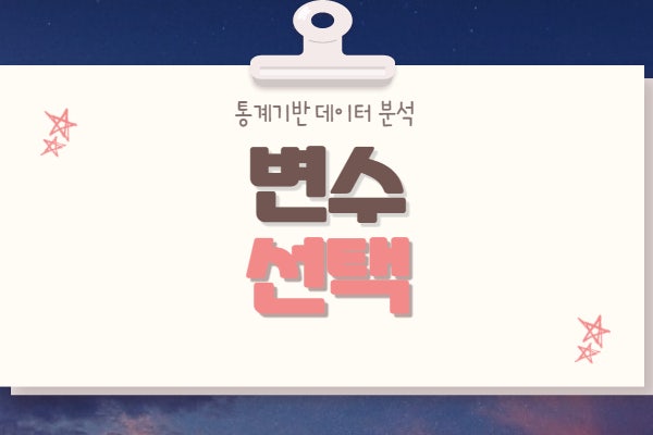  변수 선택