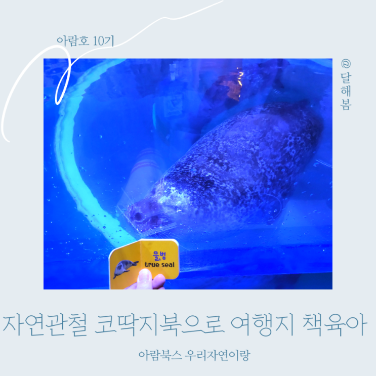 돌아기 제주도 여행 준비물 유아전집 아람 자연이랑 코딱지북 세이펜