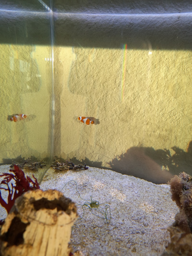 물생활을 시작하기 전에 준비해야할 사항들, image size:800x1067