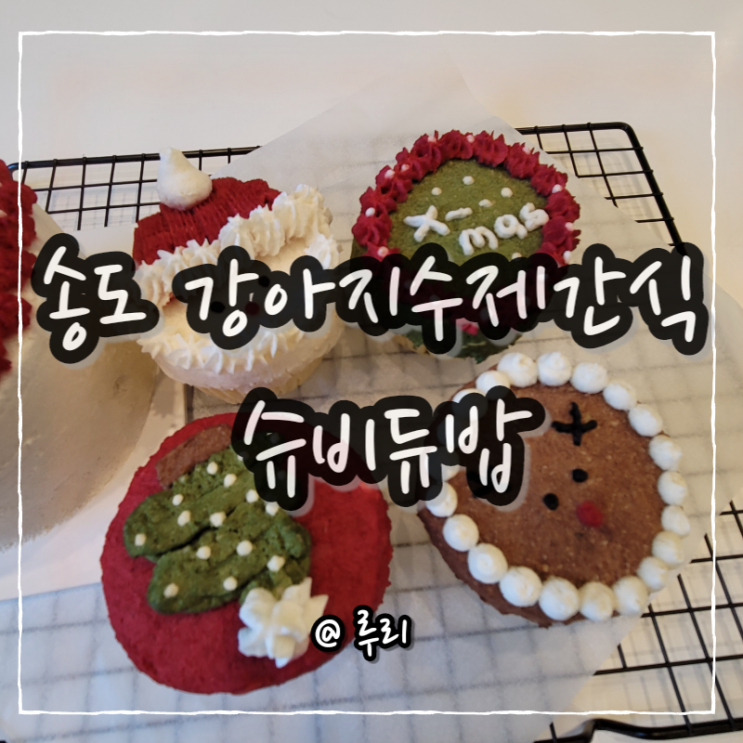  송도 강아지수제간식은 슈비듀밥~