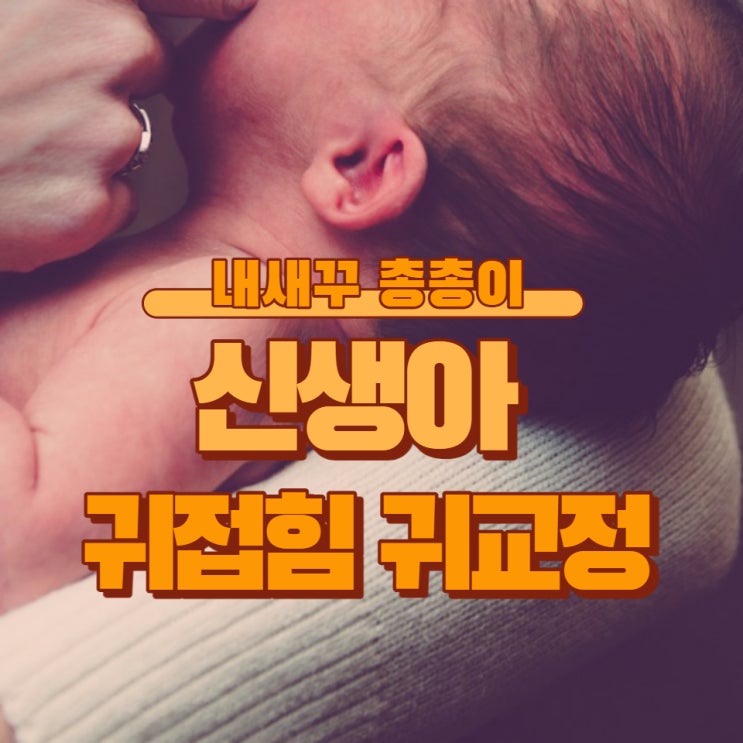  아기 신생아 귀접힘 귀교정에 대해