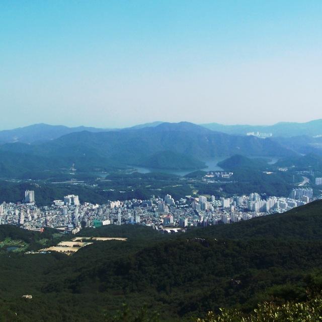  지방에는 먹이가 없고, 서울에는 둥지가 없다.('탈서울'을 결심 하며)