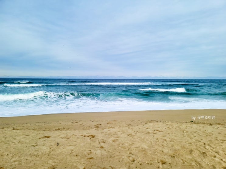 강릉 송정해변.. 겨울바다 구경 강릉 송정해변.. 겨울바다 구경