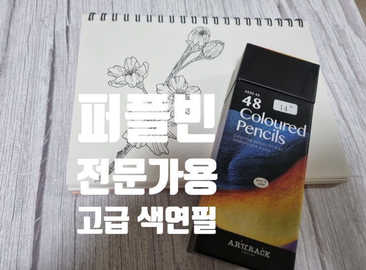  전문가용 색연필