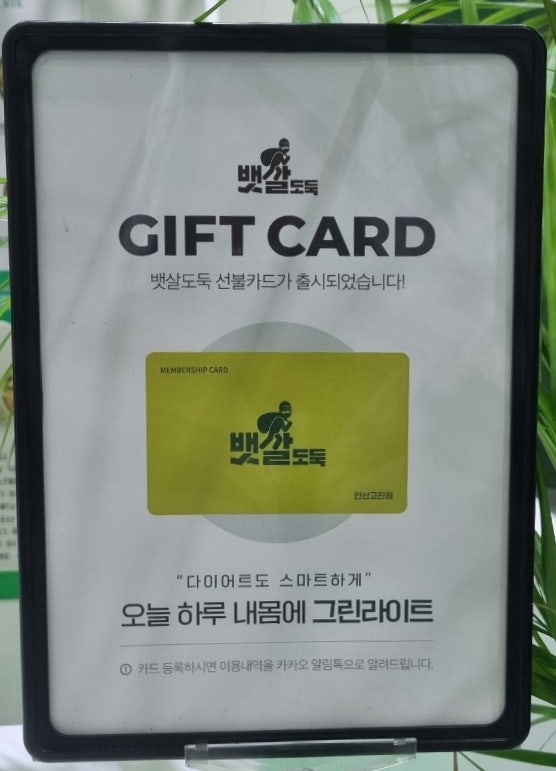 안산 샐러드 뱃살 도둑과 함께 다이어트 고민 해결 안산 샐러드 뱃살 도둑과 함께 다이어트 고민 해결