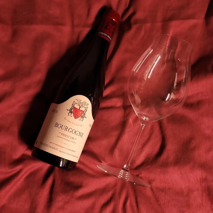  장테 팡시오 부르고뉴 핀 2019 / Domaine Geantet Pansiot Bourgogne Pinot Fin 2019
