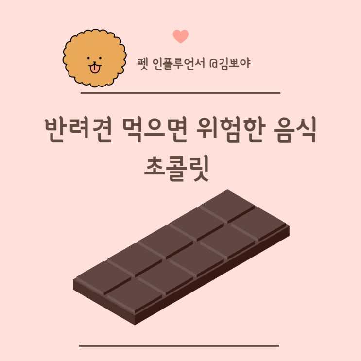  반려견초콜릿 반려견정보 강아지먹으면 안되는 음식 초콜릿