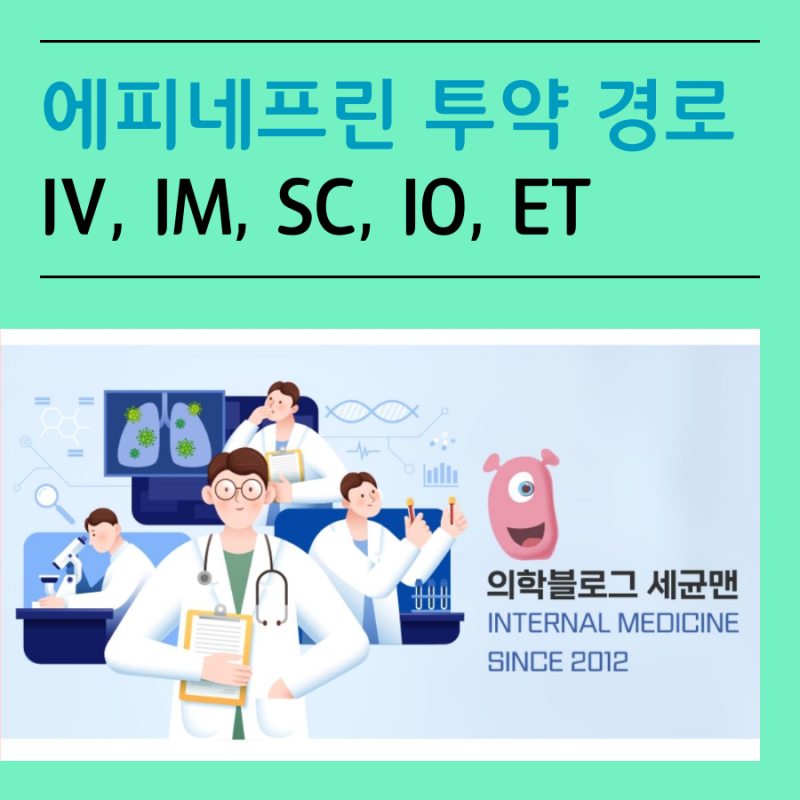 에피네프린 투약 경로 (IV, IM, SC, IO, ET) : 네이버 블로그