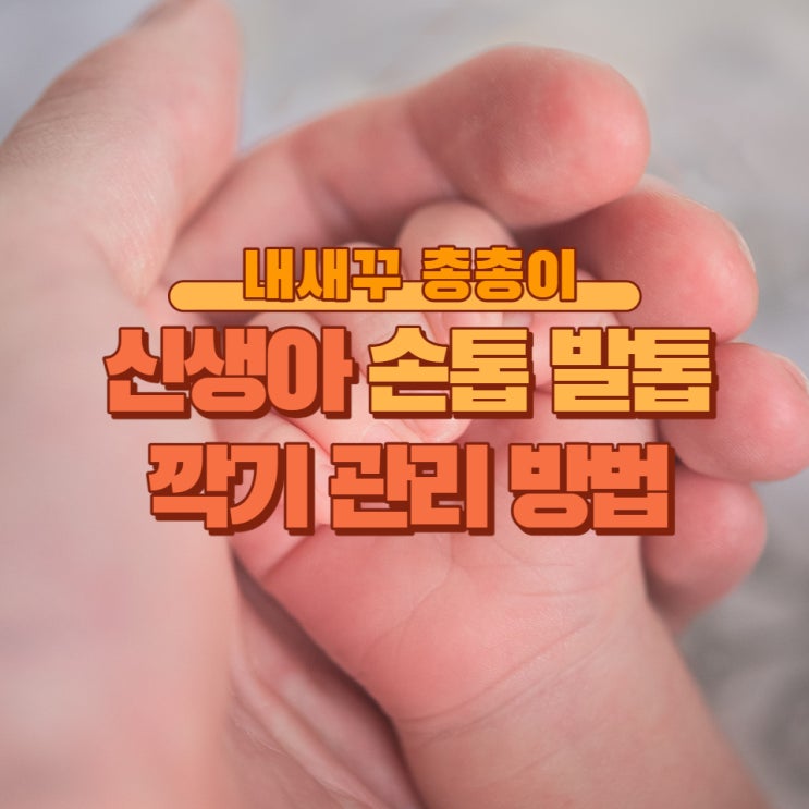  아기 신생아 손톱 발톱 깍기 관리 방법 및 tip