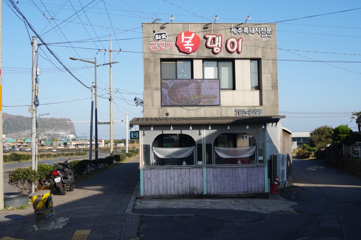 성산일출봉 데이트 코스 맛집! 성산흑돼지 복댕이 추천