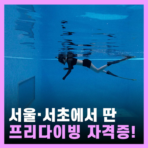  서울에서 프리다이빙 자격증 따기 - 서초 다이브라이프