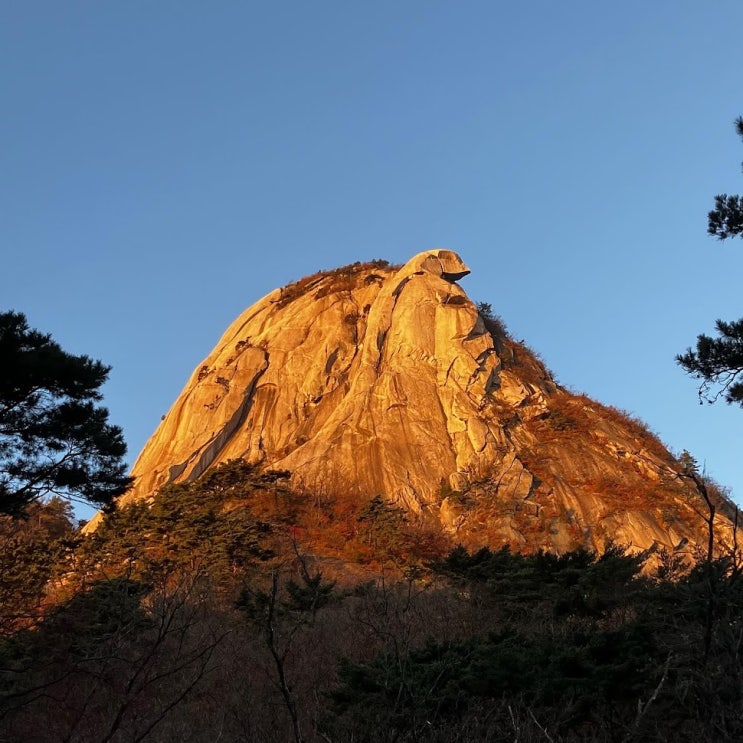 북한산 등반교육 (백운대 슬랩)