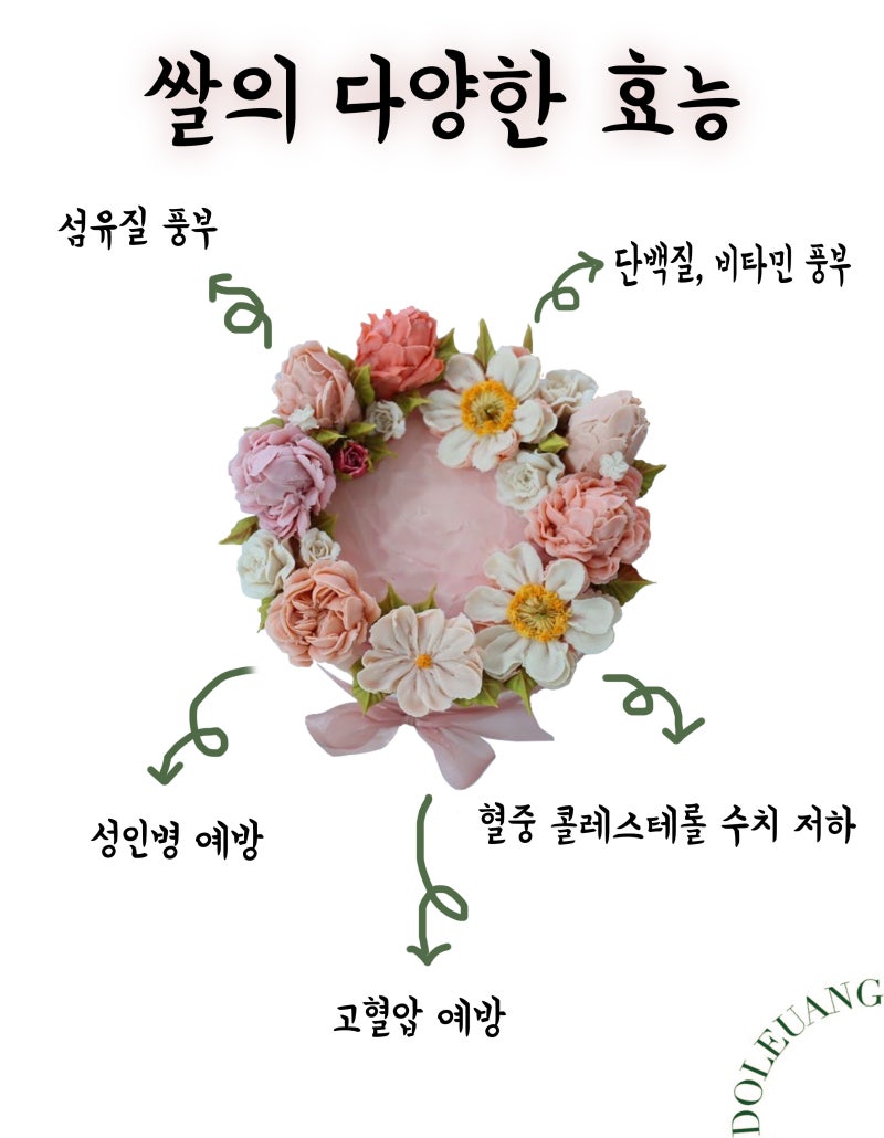 전주 케이크 주문제작 도르앙 : 쌀의 다양한 효능
