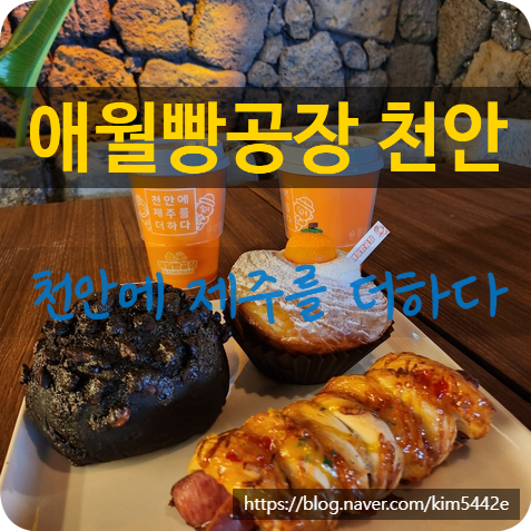  [천안카페] 천안에 제주를 더하다.. '애월빵공장' 대형 신상카페 오픈 제주 야자수 성성호수공원 뷰 맛집