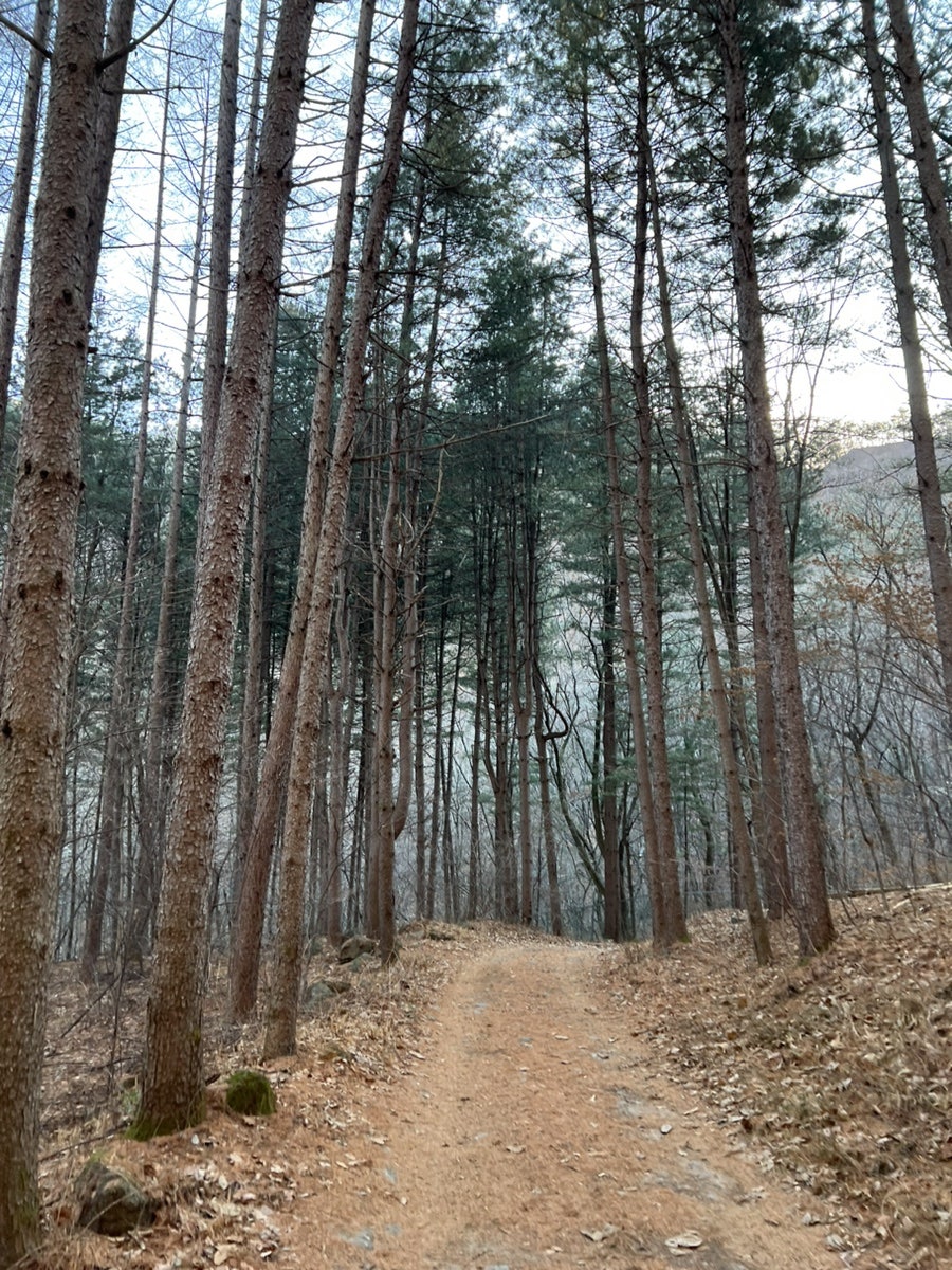 새골 사진 5