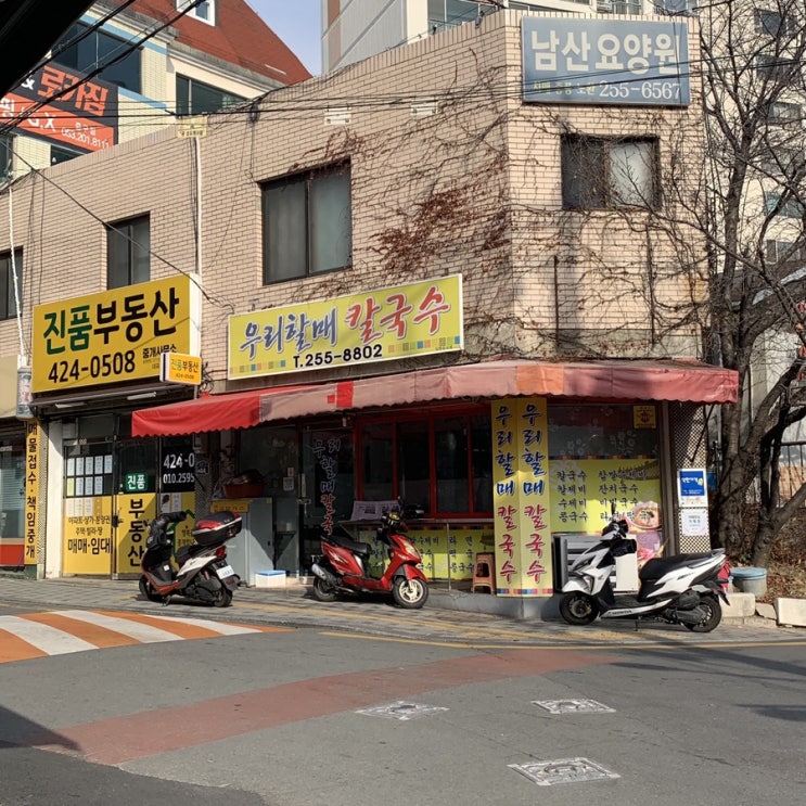  대구 칼국수 맛집 우리할매칼국수 주1회 방문중