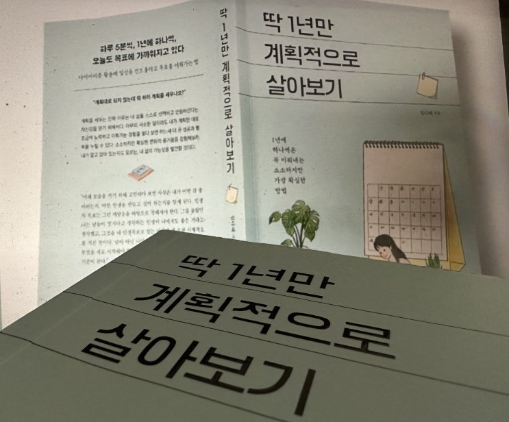  딱 1년만 계획적으로 살아보기_소소하지만 목표에 가까워질 수 있는 방법