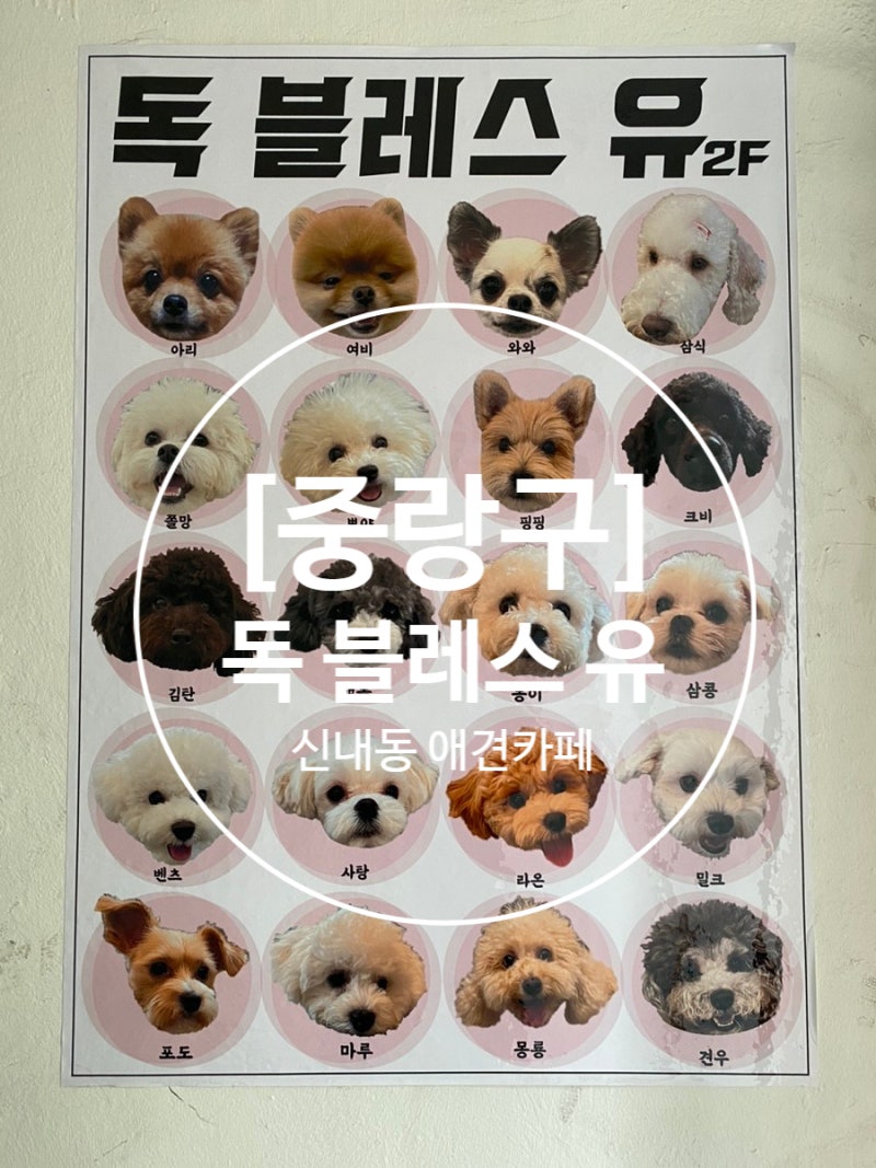 사진 4