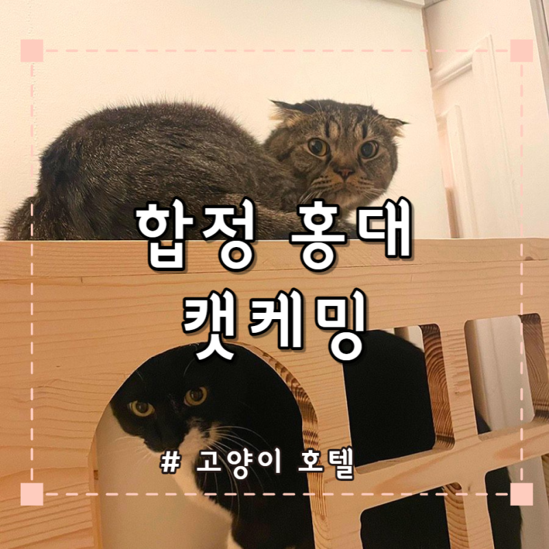 사진 4