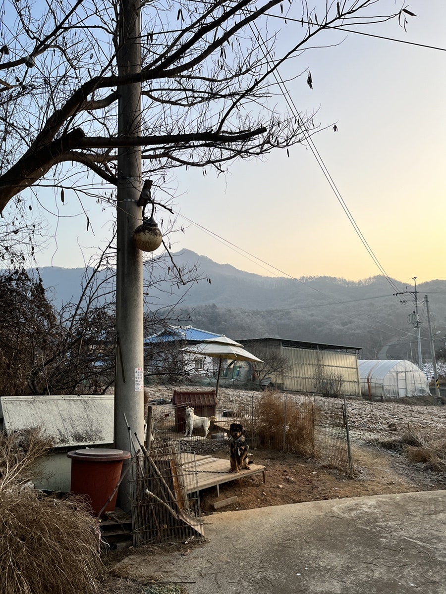 라임오렌지펜션 사진 1