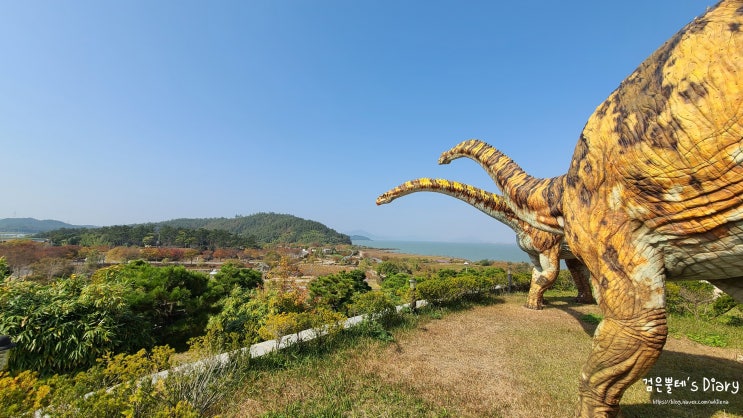 [진도/해남 가족여행#2] 전남 아이랑 가볼만한 곳 - 해남공룡박물관 주차 물놀이장
