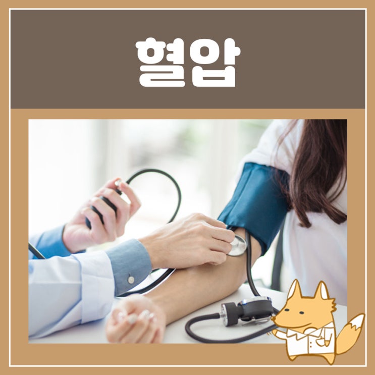  혈압약 처방 카나브정 과다복용 혈압 정상수치 고 혈압에 좋은 음식 : 카나브