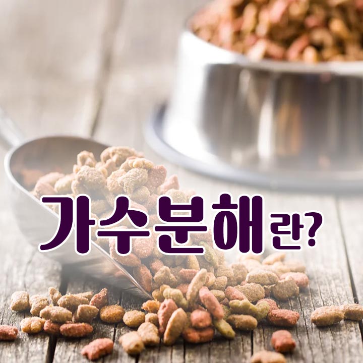  가수분해란?