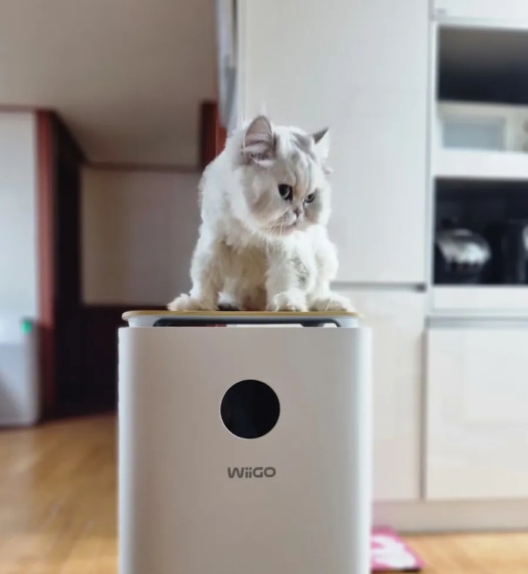  고양이 털 필터가 추가된 위고 펫 공기청정기 들여놨어요
