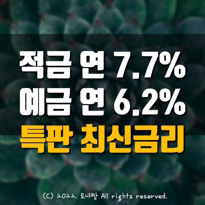 적금특판 연7.7%, 예금특판 연6.2%, 동대구신협, 광주웨슬리신협