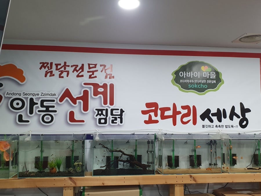 안동선계찜닭 충주점 사진 2
