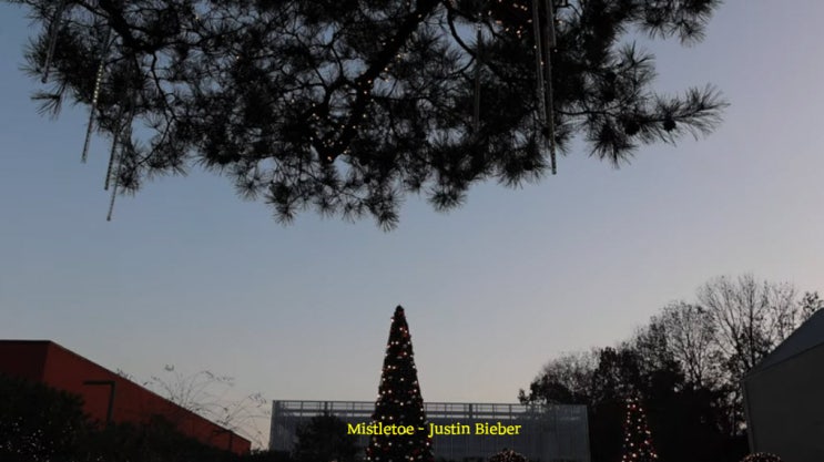 Mistletoe - Justin Bieber Mistletoe - Justin Bieber